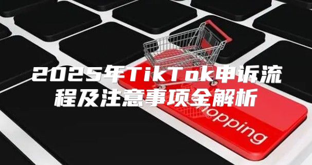 2025年TikTok申诉流程及注意事项全解析