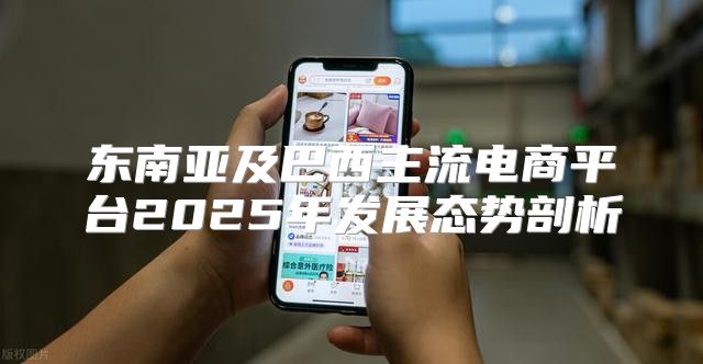 东南亚及巴西主流电商平台2025年发展态势剖析