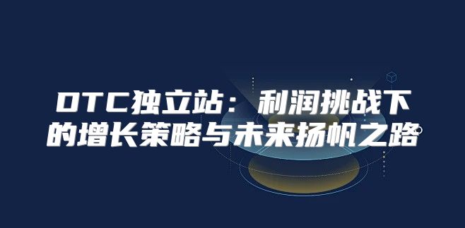 DTC独立站：利润挑战下的增长策略与未来扬帆之路