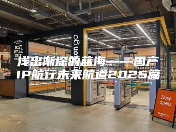 浅出渐深的蓝海——国产IP航行未来航道2025篇