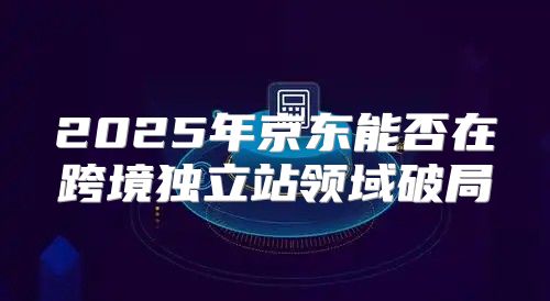 2025年京东能否在跨境独立站领域破局