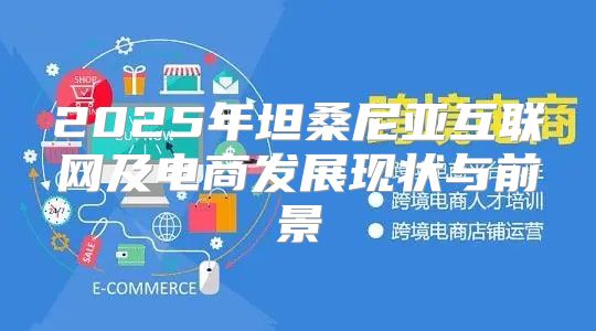 2025年坦桑尼亚互联网及电商发展现状与前景