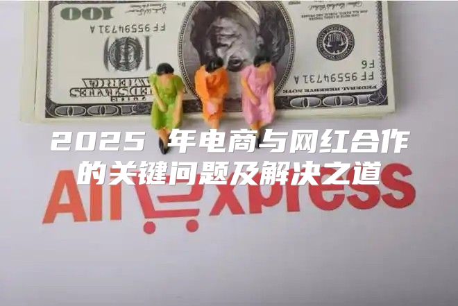 2025 年电商与网红合作的关键问题及解决之道