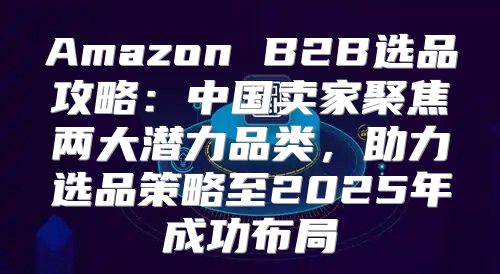 Amazon B2B选品攻略：中国卖家聚焦两大潜力品类，助力选品策略至2025年成功布局
