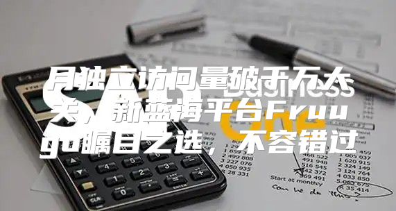 月独立访问量破千万大关，新蓝海平台Fruugo瞩目之选，不容错过