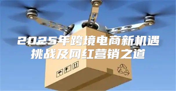 2025年跨境电商新机遇挑战及网红营销之道