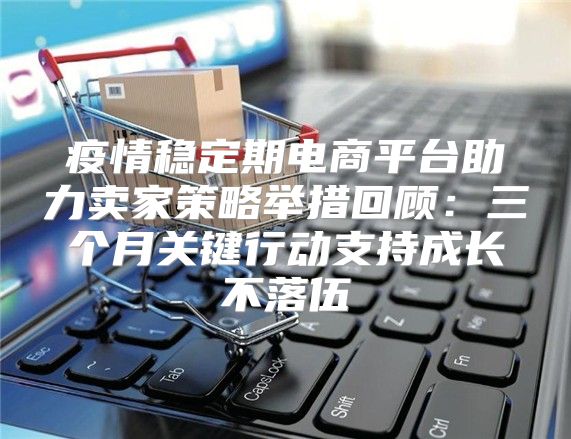 疫情稳定期电商平台助力卖家策略举措回顾：三个月关键行动支持成长不落伍
