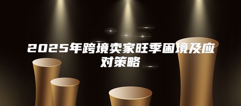 2025年跨境卖家旺季困境及应对策略