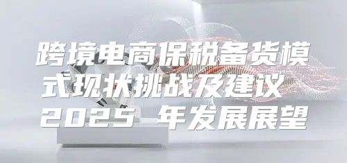跨境电商保税备货模式现状挑战及建议 2025 年发展展望