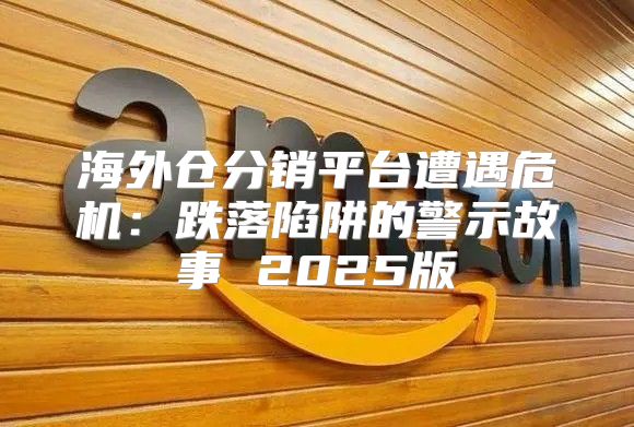 海外仓分销平台遭遇危机：跌落陷阱的警示故事 2025版