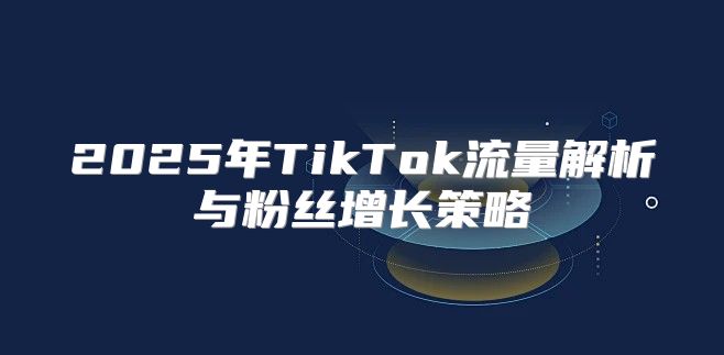 2025年TikTok流量解析与粉丝增长策略