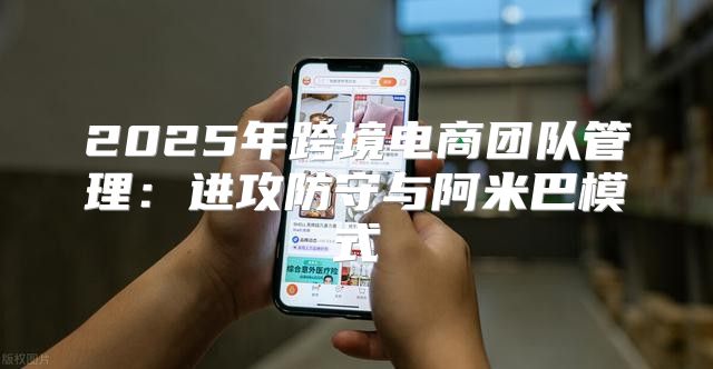 2025年跨境电商团队管理：进攻防守与阿米巴模式