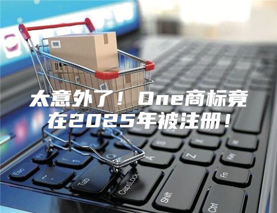 太意外了！One商标竟在2025年被注册！