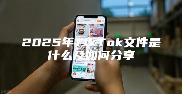 2025年TikTok文件是什么及如何分享
