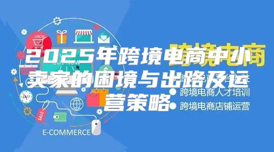 2025年跨境电商中小卖家的困境与出路及运营策略