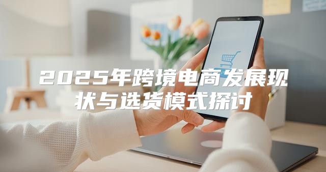 2025年跨境电商发展现状与选货模式探讨