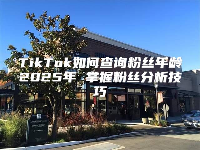 TikTok如何查询粉丝年龄2025年 掌握粉丝分析技巧