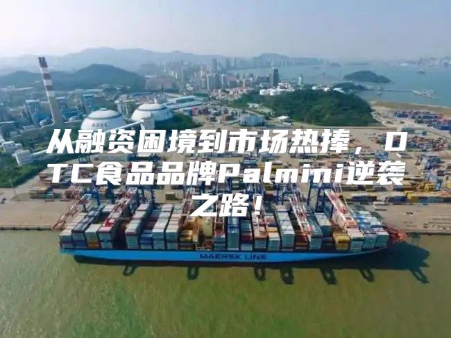 从融资困境到市场热捧，DTC食品品牌Palmini逆袭之路！