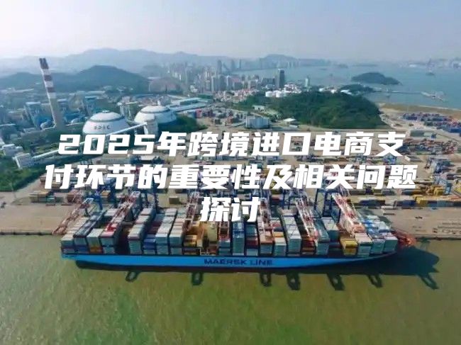 2025年跨境进口电商支付环节的重要性及相关问题探讨