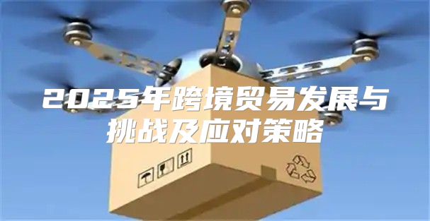 2025年跨境贸易发展与挑战及应对策略