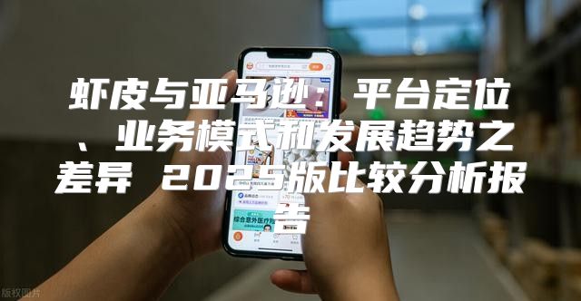 虾皮与亚马逊：平台定位、业务模式和发展趋势之差异 2025版比较分析报告