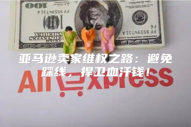 亚马逊卖家维权之路：避免踩线，捍卫血汗钱！