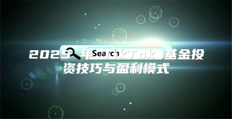 2025 年 TikTok 基金投资技巧与盈利模式