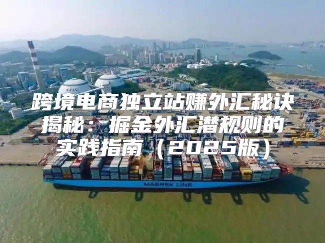 跨境电商独立站赚外汇秘诀揭秘：掘金外汇潜规则的实践指南2025版