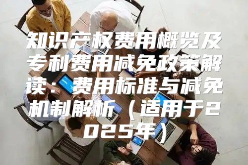 知识产权费用概览及专利费用减免政策解读：费用标准与减免机制解析适用于2025年