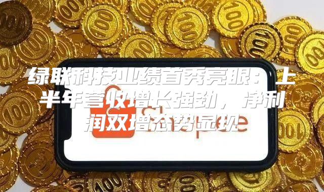 绿联科技业绩首秀亮眼：上半年营收增长强劲，净利润双增态势显现