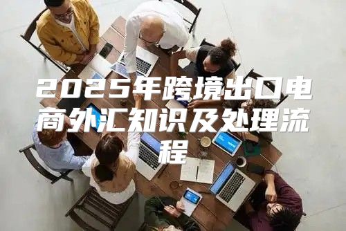 2025年跨境出口电商外汇知识及处理流程