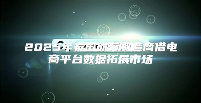 2025年泰国尿布制造商借电商平台数据拓展市场