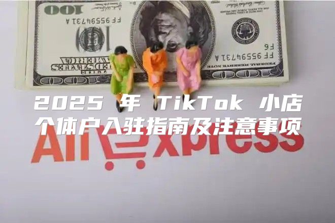 2025 年 TikTok 小店个体户入驻指南及注意事项