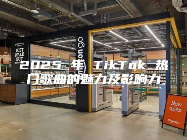2025 年 TikTok 热门歌曲的魅力及影响力