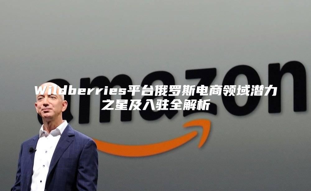 Wildberries平台俄罗斯电商领域潜力之星及入驻全解析