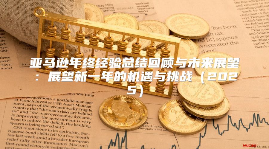 亚马逊年终经验总结回顾与未来展望：展望新一年的机遇与挑战2025