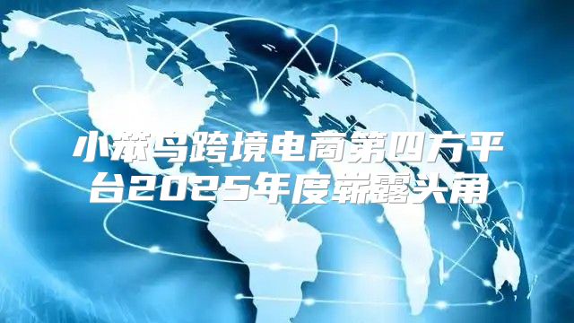 小笨鸟跨境电商第四方平台2025年度崭露头角