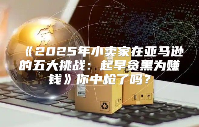 2025年小卖家在亚马逊的五大挑战：起早贪黑为赚钱你中枪了吗？