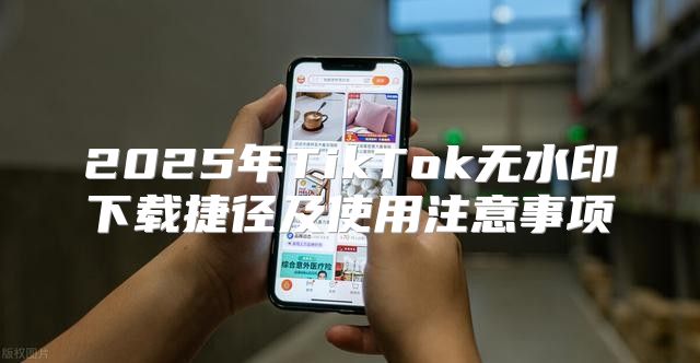 2025年TikTok无水印下载捷径及使用注意事项