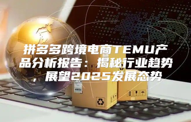 拼多多跨境电商TEMU产品分析报告：揭秘行业趋势，展望2025发展态势