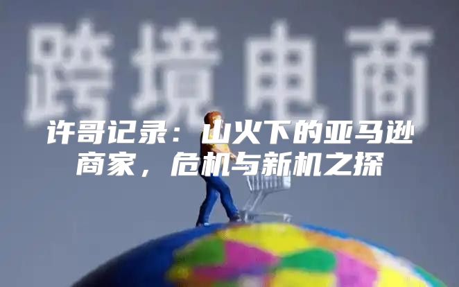 许哥记录：山火下的亚马逊商家，危机与新机之探