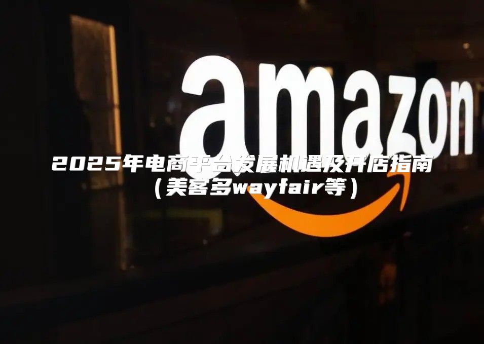 2025年电商平台发展机遇及开店指南美客多wayfair等
