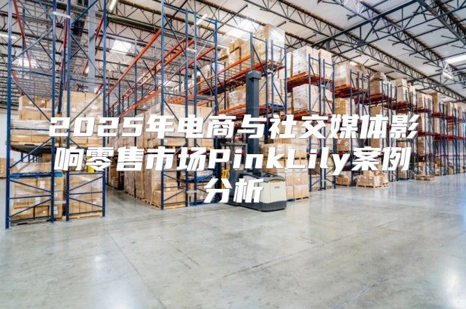 2025年电商与社交媒体影响零售市场PinkLily案例分析