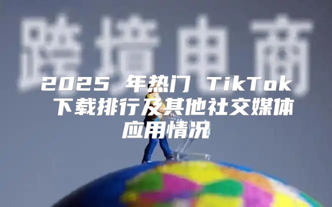 2025 年热门 TikTok 下载排行及其他社交媒体应用情况