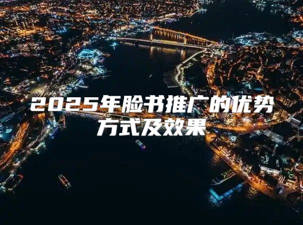 2025年脸书推广的优势方式及效果