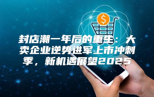 封店潮一年后的重生：大卖企业逆势进军上市冲刺季，新机遇展望2025