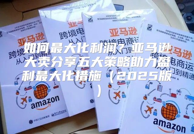 如何最大化利润？亚马逊大卖分享五大策略助力盈利最大化措施2025版