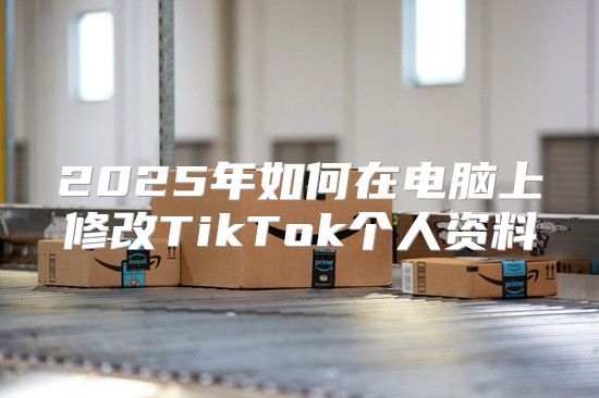 2025年如何在电脑上修改TikTok个人资料