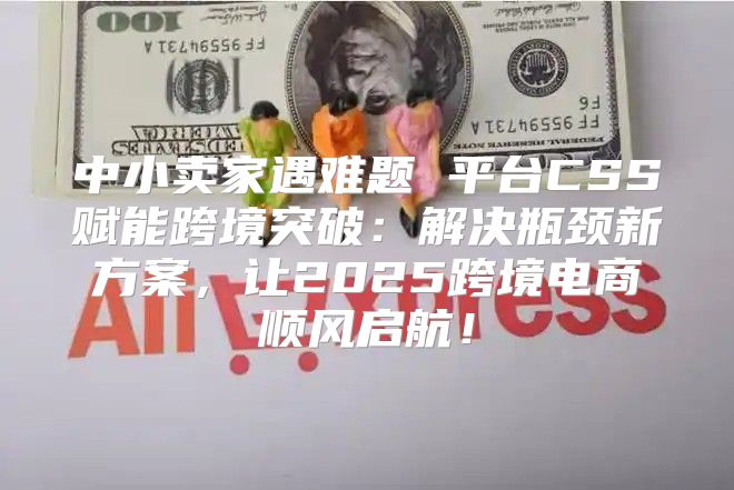 中小卖家遇难题 平台CSS赋能跨境突破：解决瓶颈新方案，让2025跨境电商顺风启航！