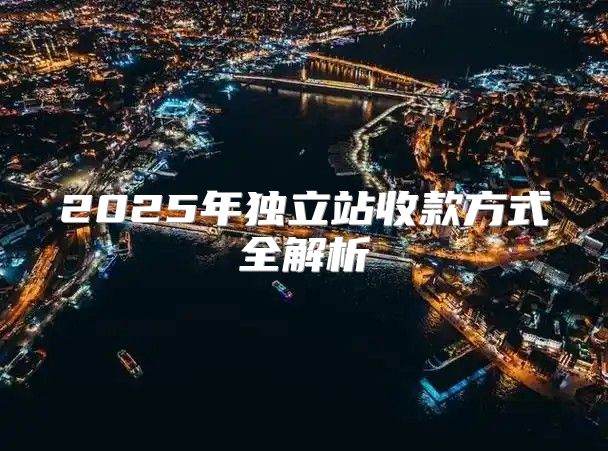 2025年独立站收款方式全解析